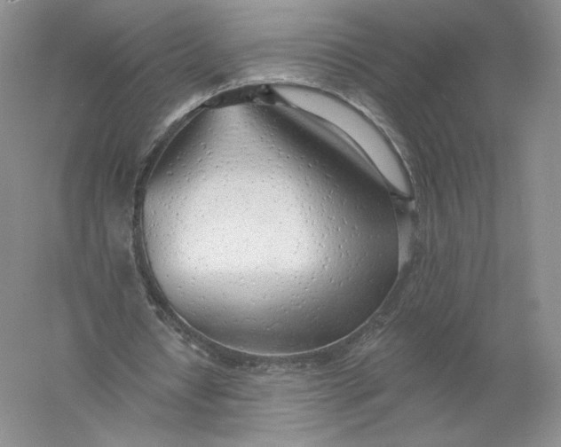 X0000055990434200509092023