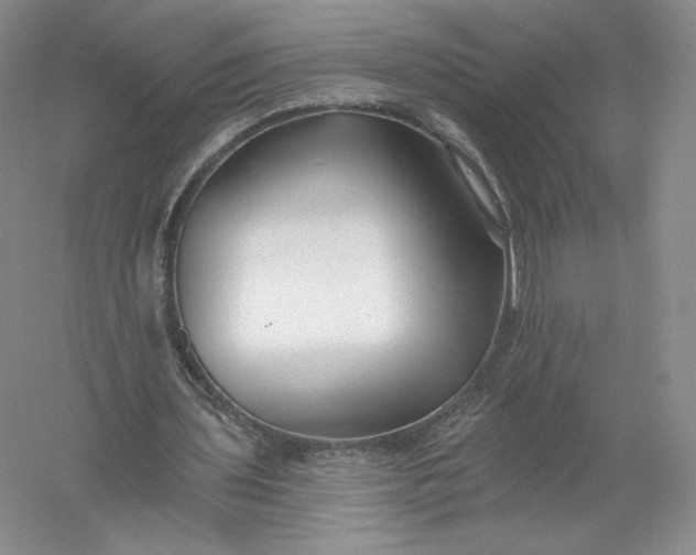 X0000055990435200509092023