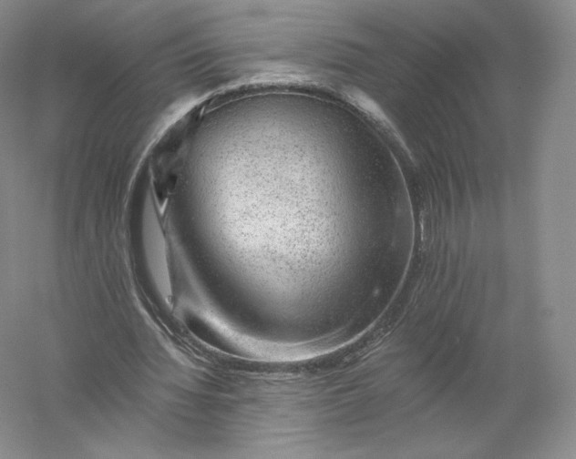 X0000055990436200509092023