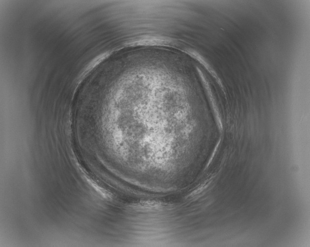 X0000055990437200509092023