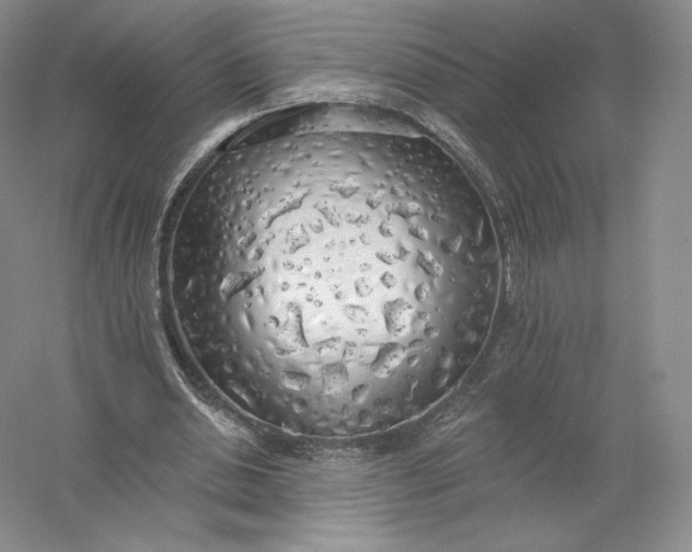 X0000055990438200509092023