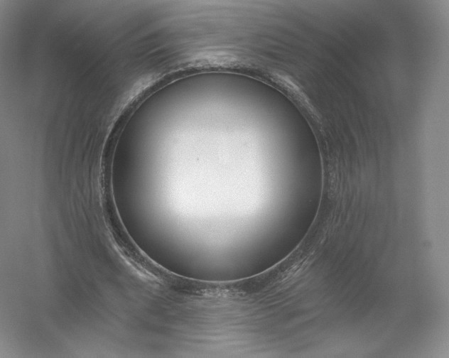 X0000055990439200509092024