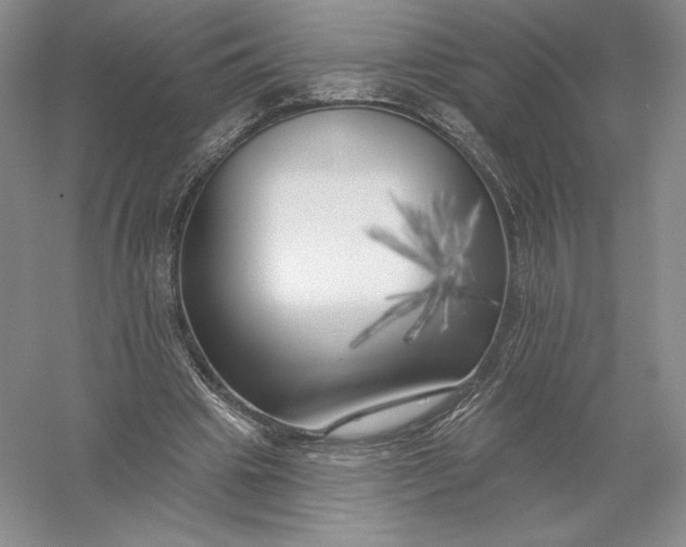 X0000055990441200509092024