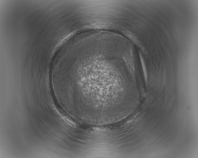 X0000055990442200509092024