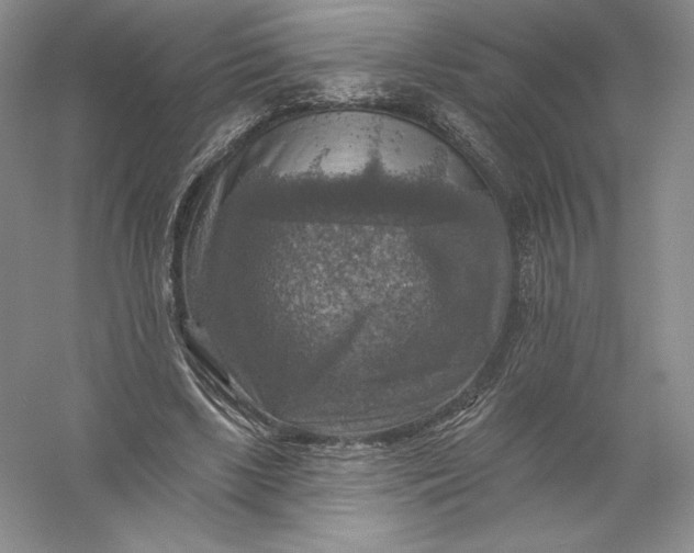 X0000055990443200509092024