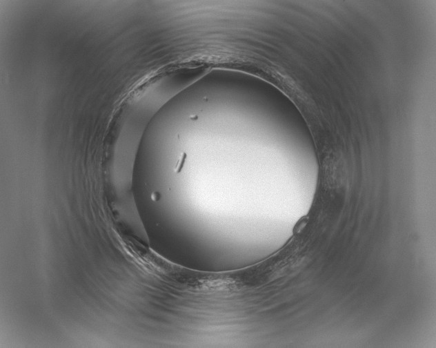 X0000055990446200509092024