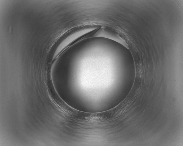 X0000055990448200509092024