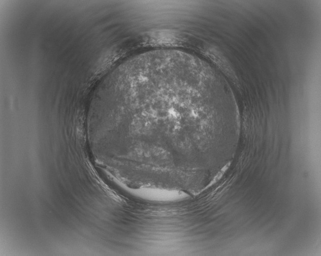 X0000055990449200509092024