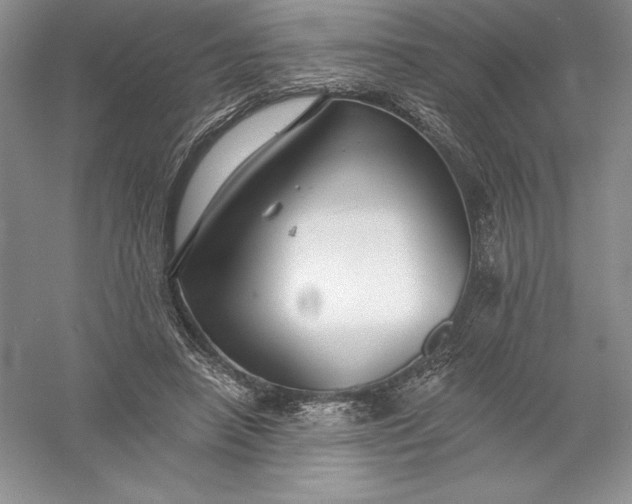 X0000055990450200509092024