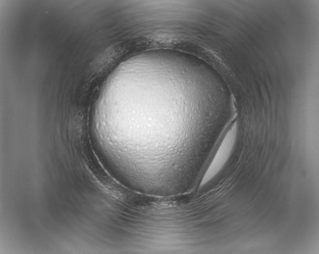 X0000055990451200509092024