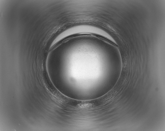 X0000055990452200509092024