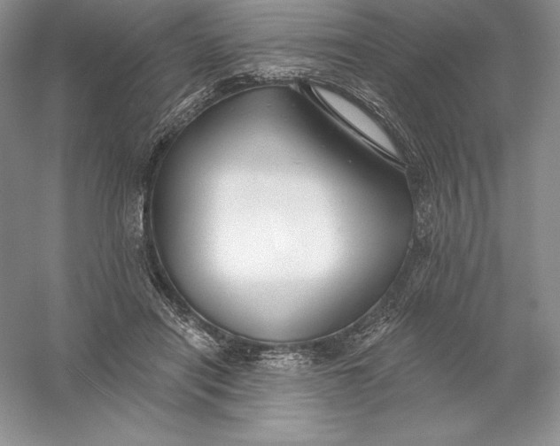 X0000055990454200509092024