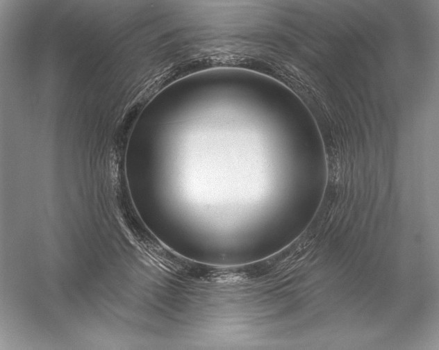 X0000055990456200509092024