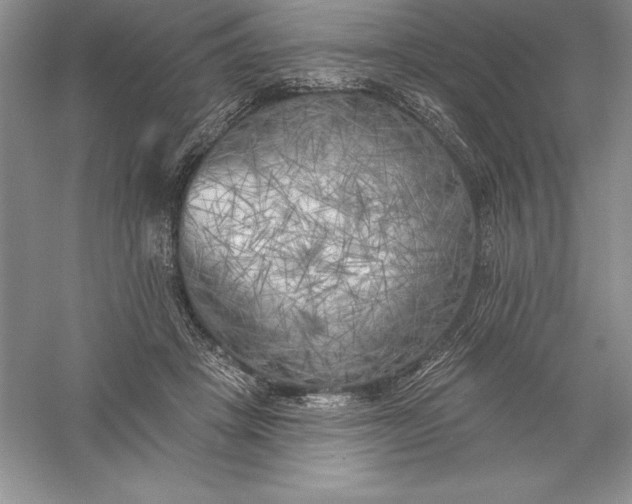 X0000055990457200509092024