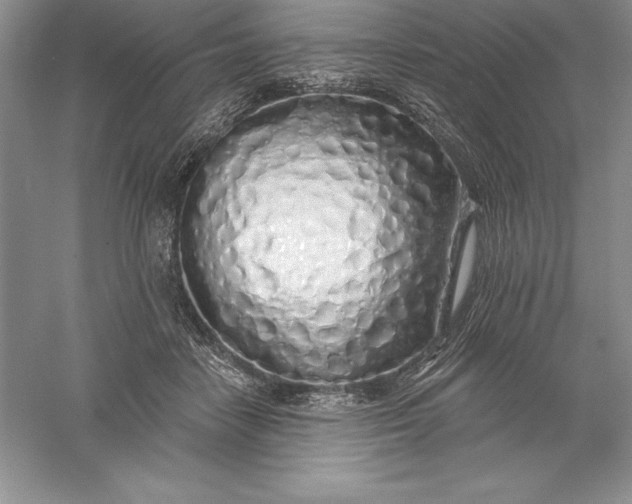 X0000055990458200509092024