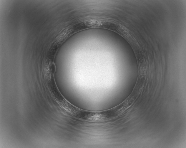 X0000055990460200509092024