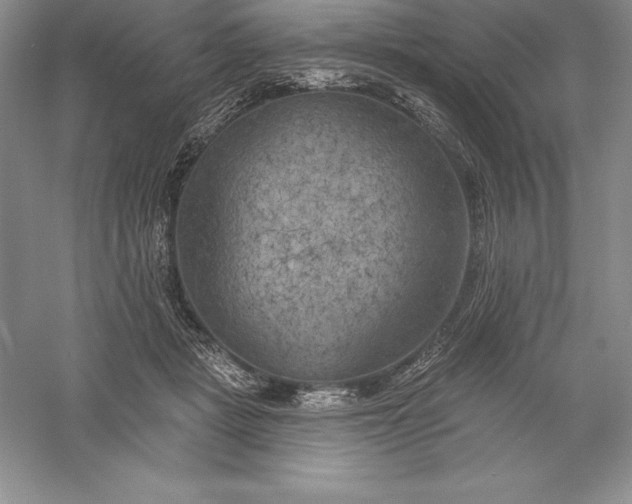 X0000055990461200509092024