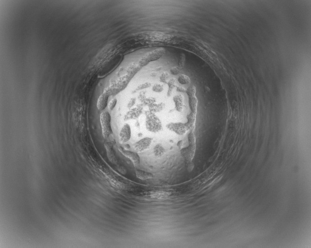 X0000055990462200509092024