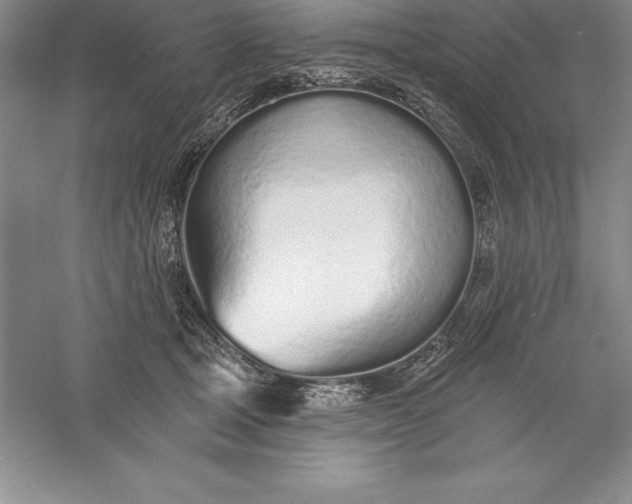 X0000055990465200509092024