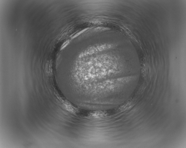 X0000055990466200509092024