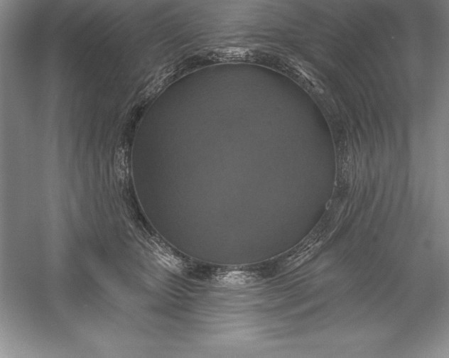 X0000055990467200509092024