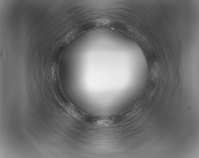 X0000055990468200509092024