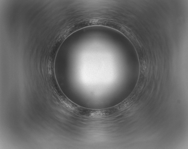 X0000055990470200509092024