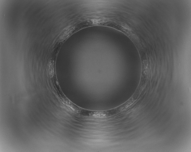 X0000055990471200509092024