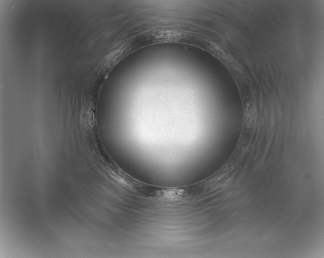 X0000055990474200509092024