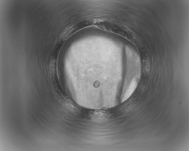 X0000055990475200509092024