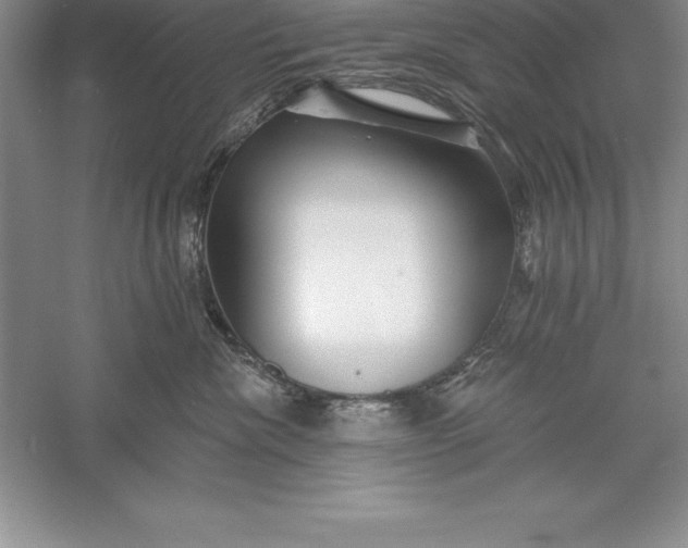 X0000055990476200509092024