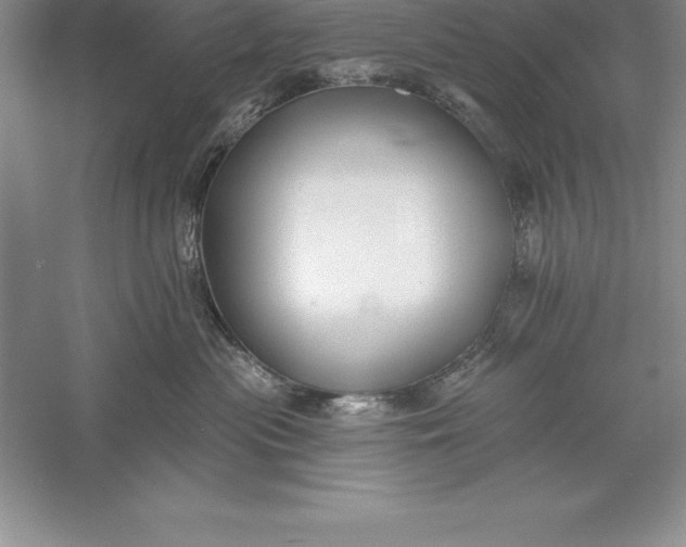 X0000055990477200509092024