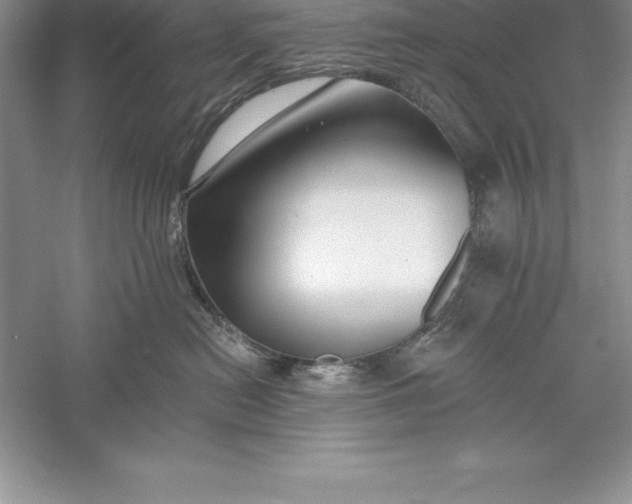 X0000055990478200509092024