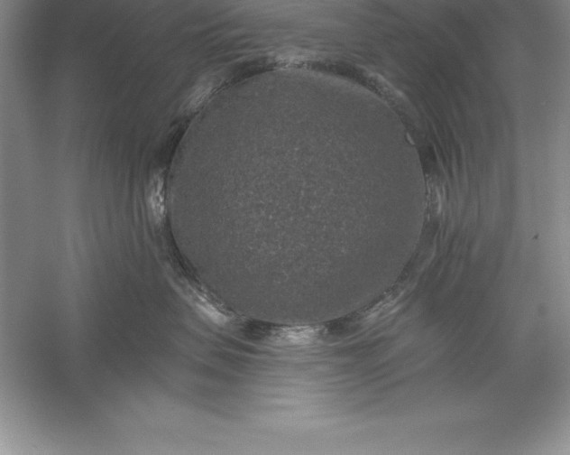 X0000055990479200509092024