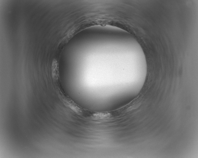 X0000055990480200509092024