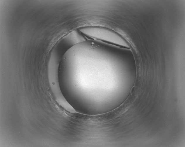 X0000055990481200509092023