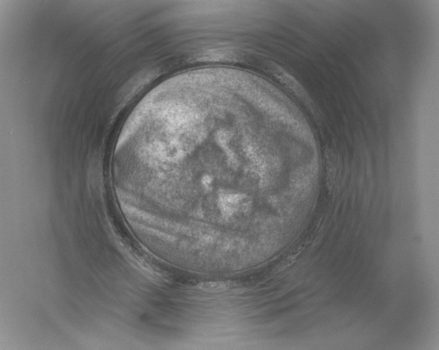 X0000055990482200509092023