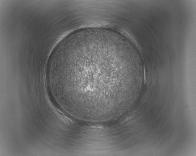 X0000055990483200509092023