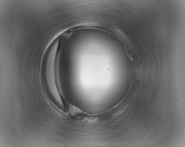 X0000055990484200509092023