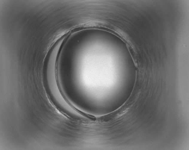 X0000055990485200509092023