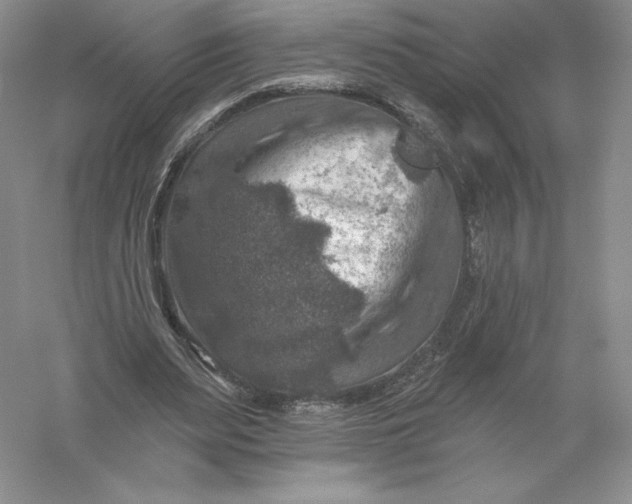 X0000055990487200509092023