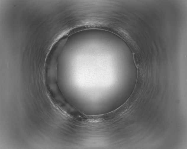 X0000055990488200509092023