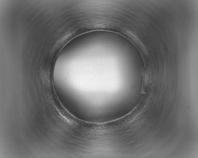 X0000055990489200509092023