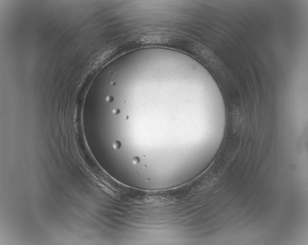 X0000055990490200509092023