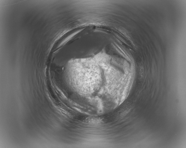 X0000055990491200509092023