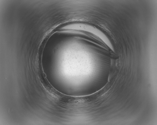 X0000055990492200509092023