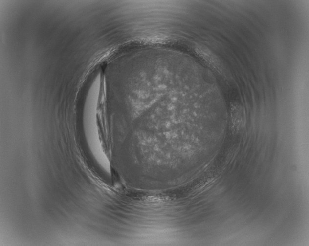 X0000055990494200509092023