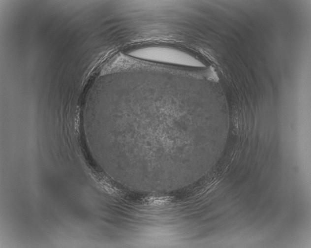 X0000055990495200509092023