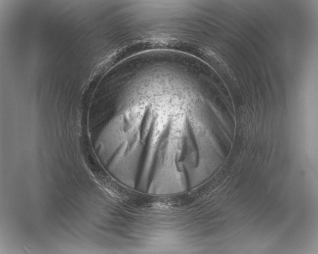 X0000055990496200509092023