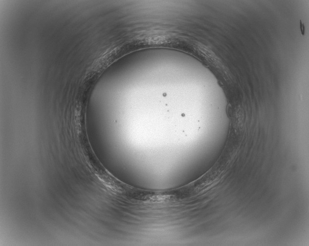 X0000055990497200509092023